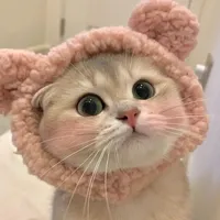 original sound - hellomayx_