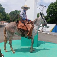 jefin_muladeiro
