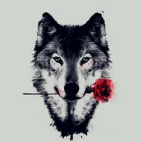 original sound - coringa1719