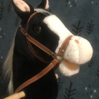 hobby_horse235
