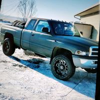four_fuxkin_ford_rangers