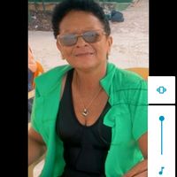 lucineterodrigues311