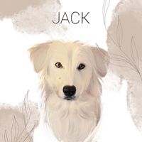 puppy__jack
