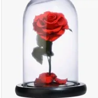 original sound - masiha325