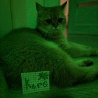оригинальный звук - KEROO