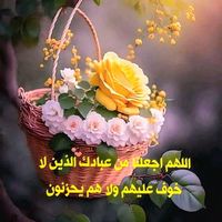 halawiixx_off