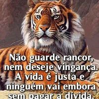 lindas.reflexo