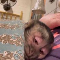 soykittyyyyyyyyyyy