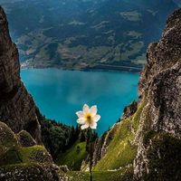 scenery_love.nat