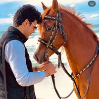 mohabhassan74