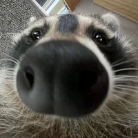 original sound - rainspacexd