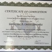 guillermocastrogo4