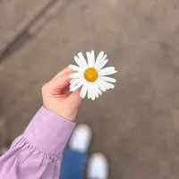 original sound - s2.q_0