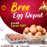 bree.egg.depot