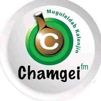 original sound - chamgeifm