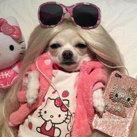 titiacharlida_quebradah0