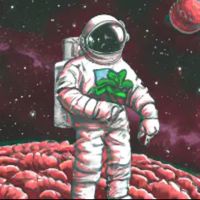 original sound - spacegardener