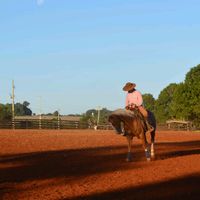 domasviniciuspereira7098