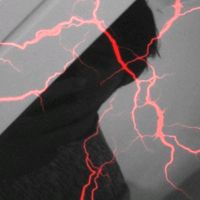 alfayorkinyorkin01