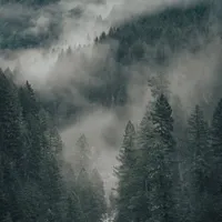 original sound - suuuo_oo