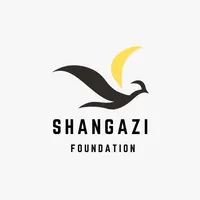 original sound - shangazifoundation