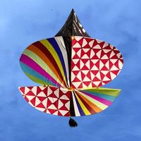 basant.international
