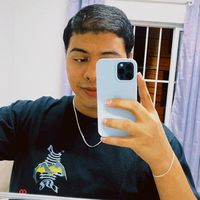 luizperseguin