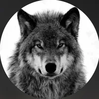 original sound - islemmk40