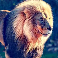 original sound - tesfahundesalegn3