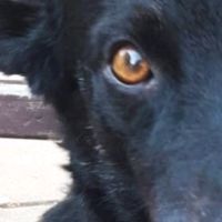 La falta de atencion