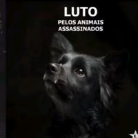 oopss....sininho