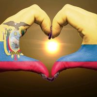 fansvocerosecuatorianos