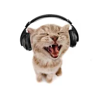original sound - spdxwk