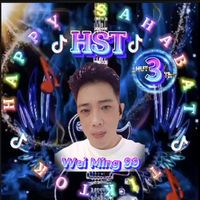 wei.ming99