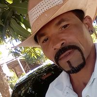 bigodinhodeouro1
