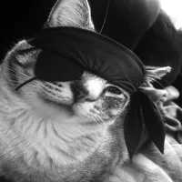 original sound - akira.fwts