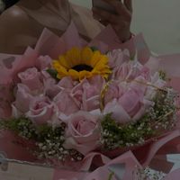 alis160198