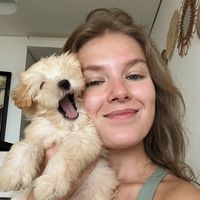 anastasiia.menshikova