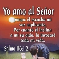 marisolturcios80
