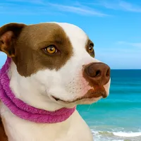 original sound - princesa.pit