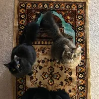 original sound - s_quran6