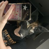 finch_0npawzz