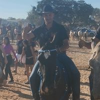 tetiselisagmail.com.br