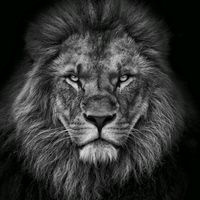 motivacao.e.fe21