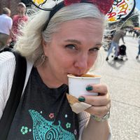 mickeysmagicaljourney