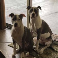 rileyandpresley