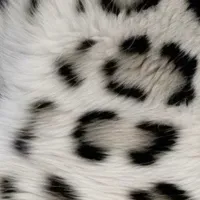 original sound - lyric..maker