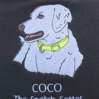 coco.englishsetter