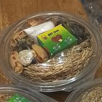 zenaturesecret78880118