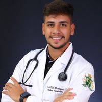 alyffermenegassi